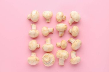 Renkli arka planda taze mantarlar