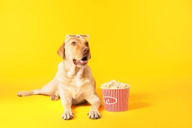 Bir kova patlamış mısır ve arka planda 3D gözlüklü sevimli bir köpek.