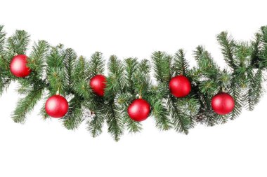 Beyaz arka planda güzel bir Noel ağacı dalı