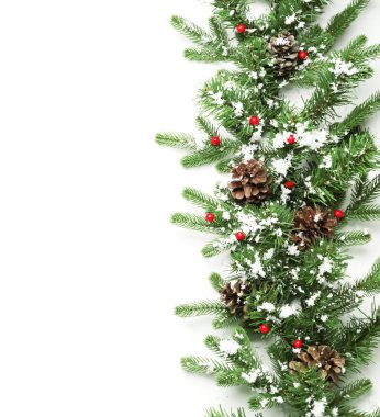 Beyaz arka planda güzel Noel ağacı dalları olan kompozisyon