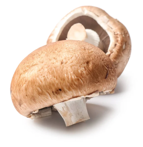 Fresh champignon mushrooms on white background — Stock Photo, Image