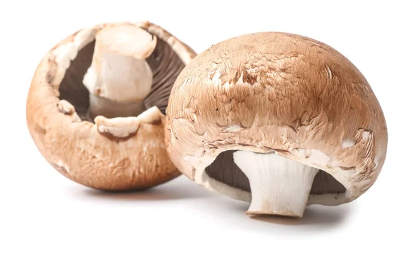 Fresh champignon mushrooms on white background — Stock Photo, Image