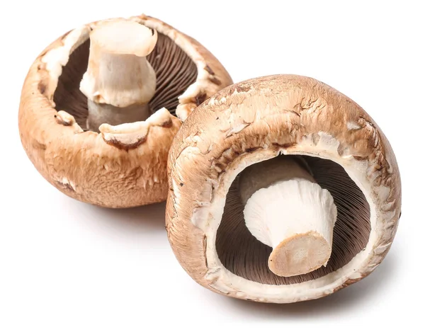 Funghi champignon freschi su sfondo bianco — Foto Stock