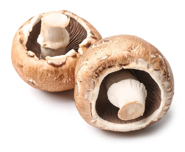 Funghi champignon freschi su sfondo bianco — Foto Stock