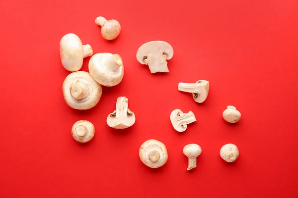 Fresh mushrooms on color background — Stock Photo, Image