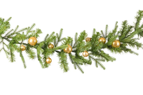 Beautiful Christmas tree branch on white background — Stock Photo, Image