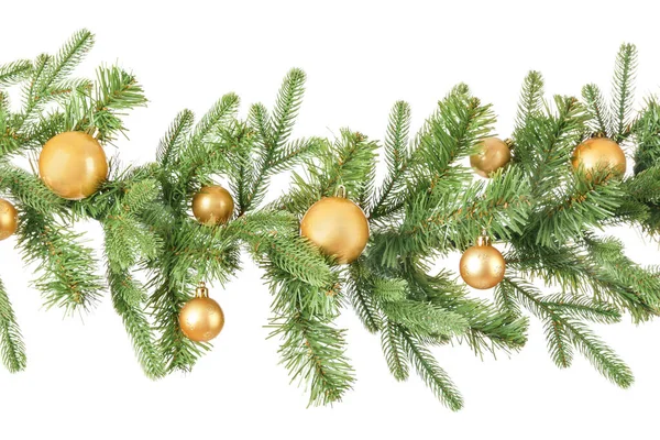Bela árvore de Natal ramo no fundo branco — Fotografia de Stock