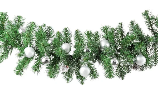 Beautiful Christmas tree branch on white background — Stock Photo, Image