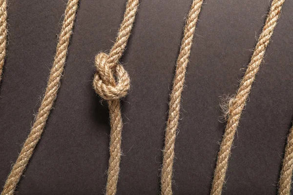 Ropes on dark background. Concept of uniqueness — Stock Photo, Image