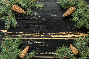 Ahşap zemin üzerinde koni ile yeşil köknar dalları