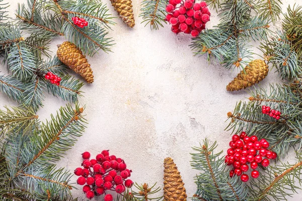 Karácsonyfa ágak tobozok és bogyók világos háttér — Stock Fotó