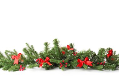 Beyaz arka planda dekoru olan güzel Noel ağacı dalları