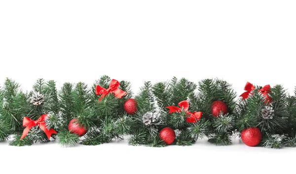 美丽的圣诞树枝条，白色背景装饰 — 图库照片