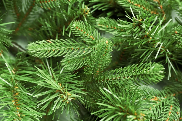 Belos galhos de árvore de Natal como fundo — Fotografia de Stock
