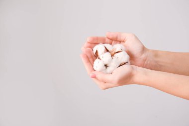 Gri arkaplanda güzel pamuk çiçekleri olan kadın elleri