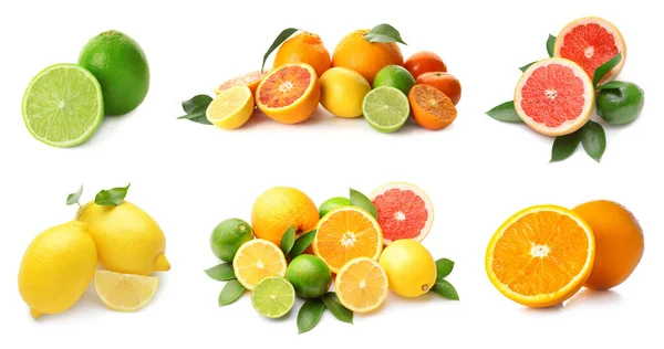 Olika välsmakande citrusfrukter på vit bakgrund — Stockfoto