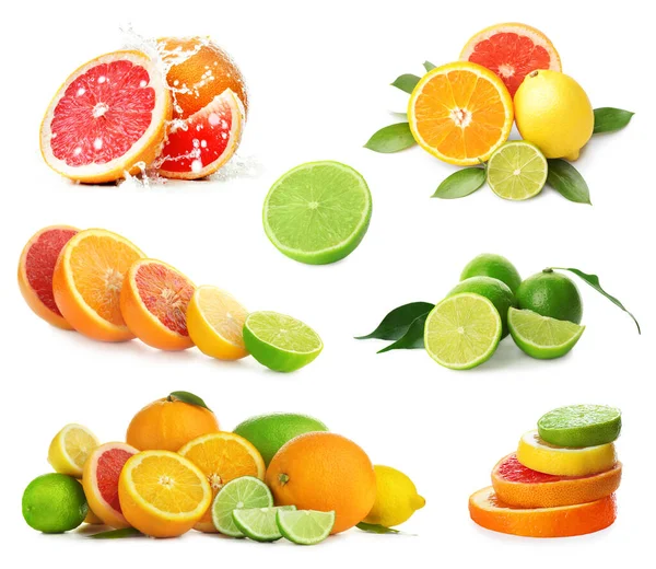 Olika välsmakande citrusfrukter på vit bakgrund — Stockfoto