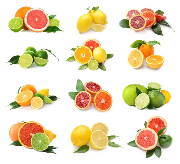 Olika välsmakande citrusfrukter på vit bakgrund — Stockfoto