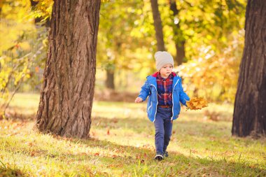 Sevimli küçük çocuk parkında sonbahar gününde bırakır.