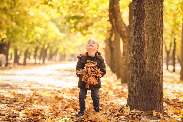 Cute little boy having fun in autumn park — Stock Photo, Image