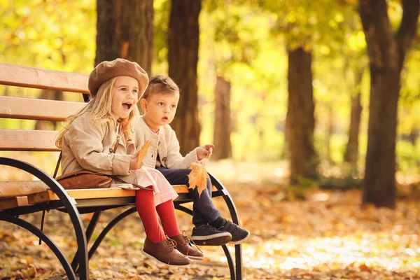 Lindos niños pequeños sentados en el banco en el parque de otoño —  Fotos de Stock