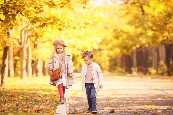 Lindos niños pequeños caminando en el parque de otoño —  Fotos de Stock