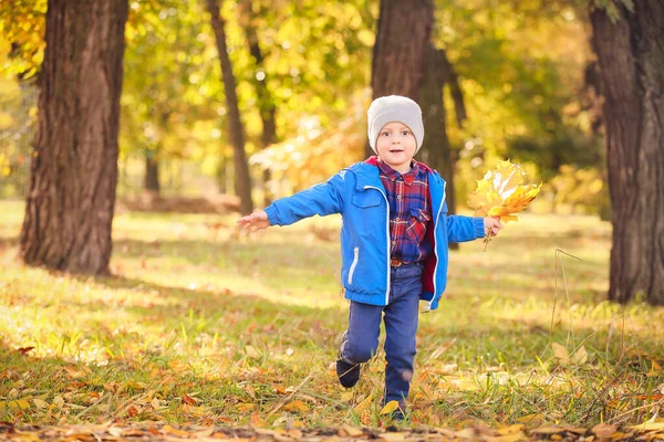 Cute little boy having fun in autumn park — Stock Photo, Image