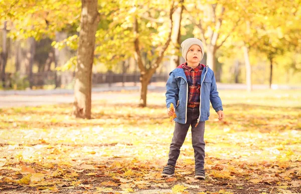 Menino bonito no parque no dia de outono — Fotografia de Stock