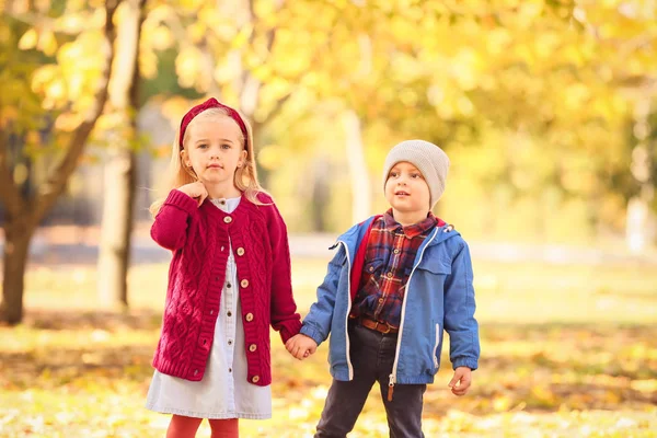 Niedliche kleine Kinder im Park an einem Herbsttag — Stockfoto