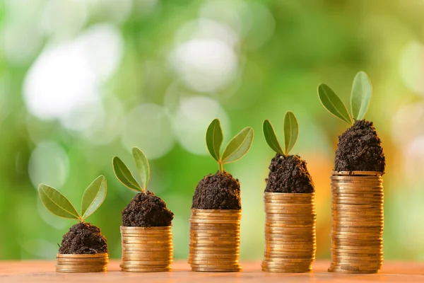 Coins with growing plants on table against blurred background. Money savings concept — Stock Photo, Image