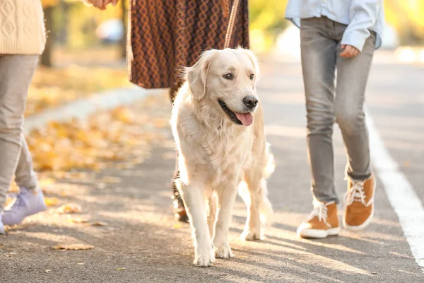 Familia feliz con perro paseando en el parque de otoño — Foto de Stock