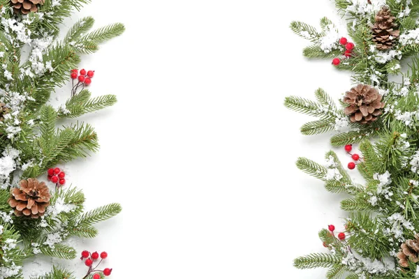 Hermosas ramas de árbol de Navidad con nieve, conos bayas sobre fondo blanco —  Fotos de Stock
