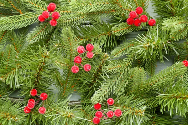 Belos galhos de árvore de Natal com bagas como fundo — Fotografia de Stock