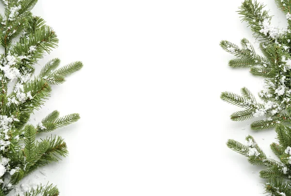 Gyönyörű karácsonyfa ágak hó fehér háttér — Stock Fotó