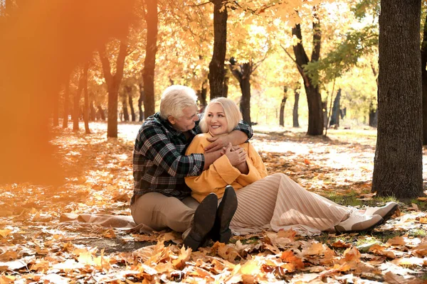 Loving mature couple in autumn park — Stock Photo, Image