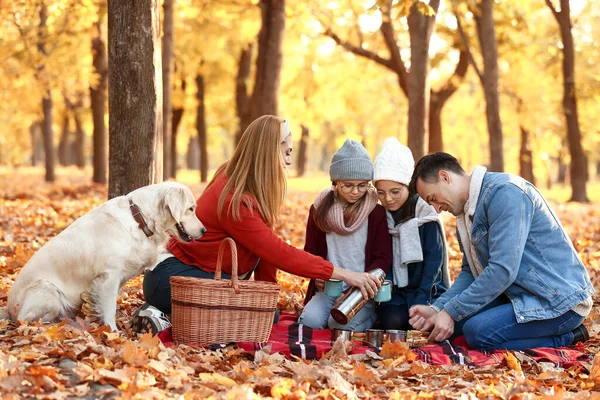 Счастливая семья устраивает пикник в осеннем парке — стоковое фото