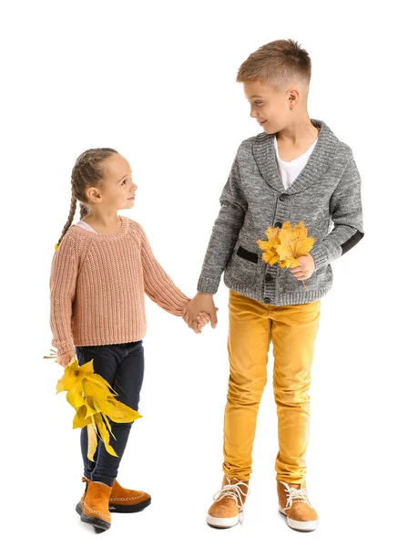 Portrait of happy children with autumn leaves on white background — ストック写真