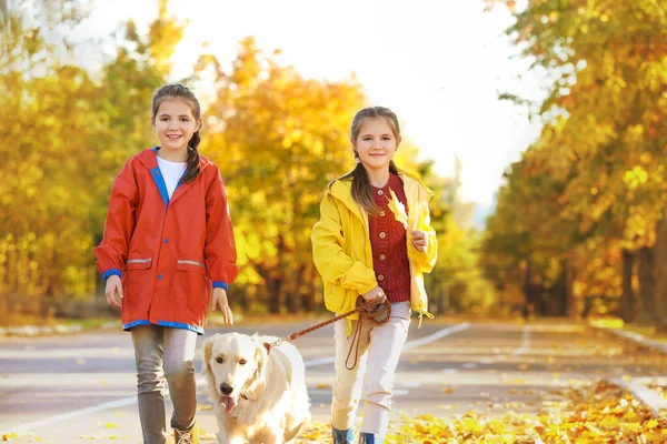 Cute girls with dog in autumn park — Stock Photo, Image