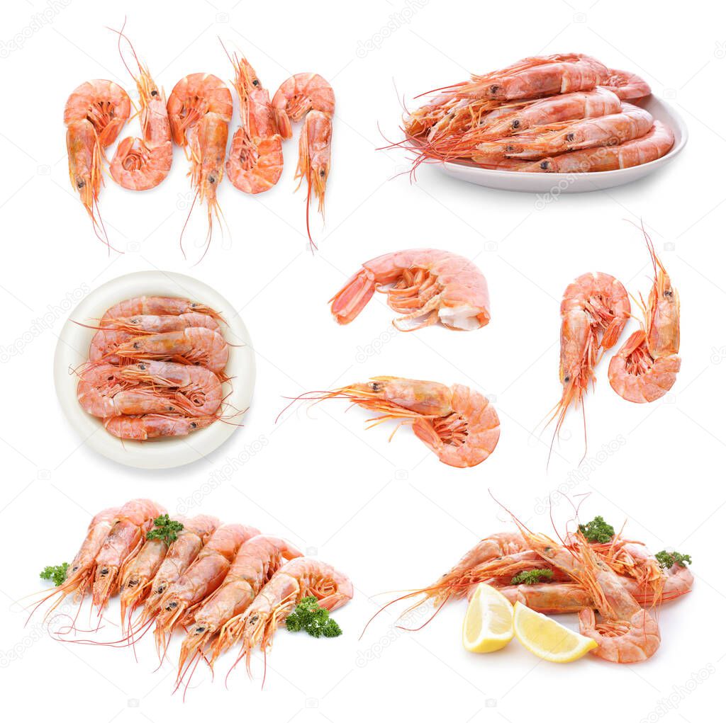 Set of tasty shrimps on white background