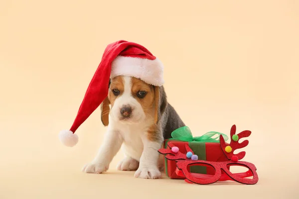 Roztomilé beagle štěně s vánoční výzdobou a dárek na barevném pozadí — Stock fotografie