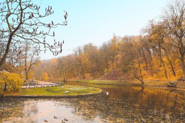 Sonbahar parkındaki güzel gölet manzarası