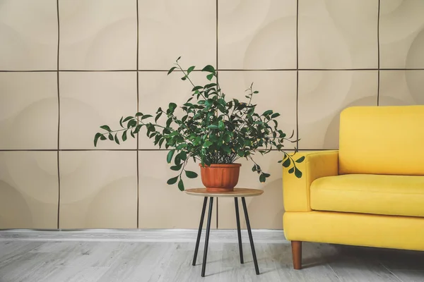 Stylish armchair with plant on table in room — Stock Photo, Image