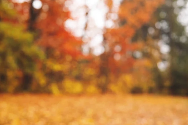 Beautiful autumn park, blurred view — Stock Photo, Image
