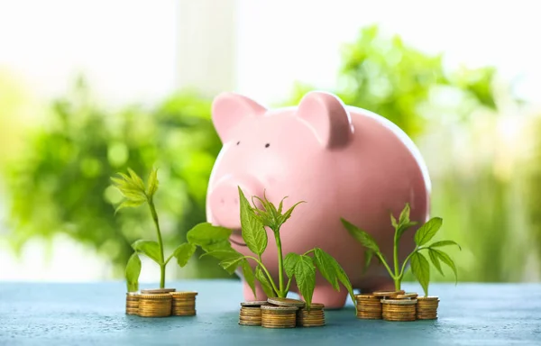 Coins with growing plants and piggy bank on table. Money savings concept