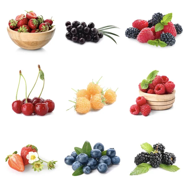 白い背景に異なる新鮮な果実のセット — ストック写真