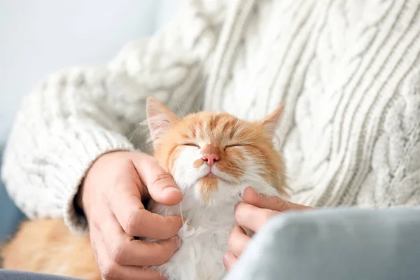 Homem acariciando gato bonito em casa — Fotografia de Stock