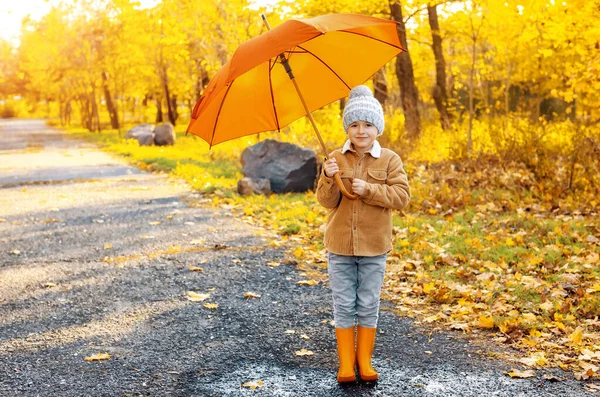 Cute little boy with umbrella in autumn park — Stock Photo, Image