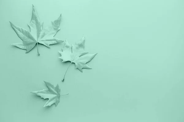 Painted turquoise leaves on color background — Stock Photo, Image