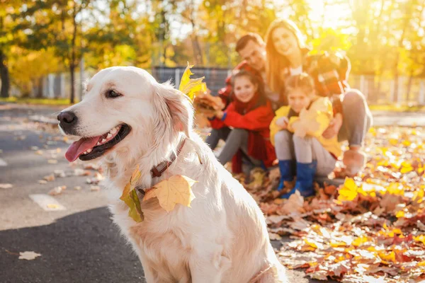 Cão bonito com família no parque de outono — Fotografia de Stock