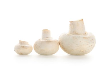 Beyaz arka planda taze şampiyon mantarları
